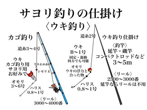 サヨリの生態と特徴・釣り方も解説仕掛け、ウキ釣り、サビキ釣り、カゴ釣り す〜さんの釣行記＆釣り情報・時々aqua