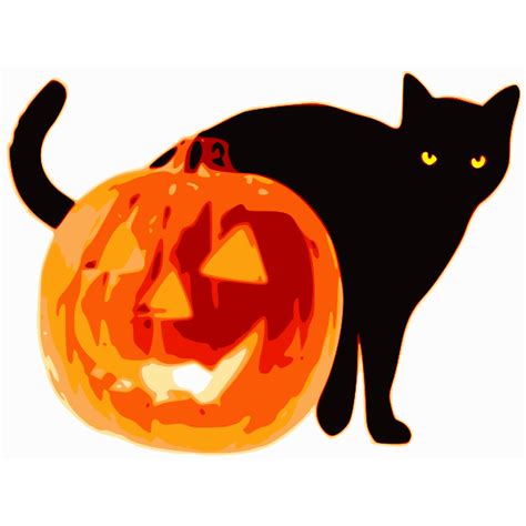 Vector clip art of black cat and pumpkin | Free SVG