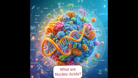 What Are Nucleic Acids Youtube