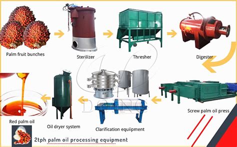 What Equipment Is Needed From Manual Palm Oil Processing To Automation