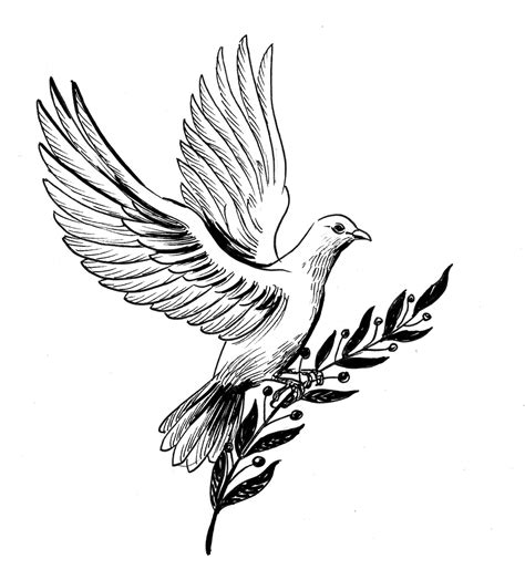 Premium Photo Dove Of Peace With Olive Branch Ink Black And White