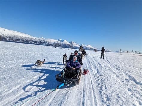 Norwegian Coastal Cruise With Havila Through The Arctic Circle Havila