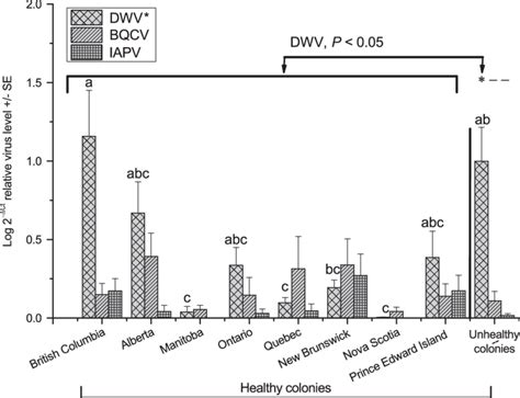 Relative Viral Concentration Of Deformed Wing Virus Dwv Black Queen