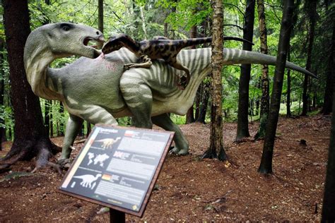 Dinopark w Szklarskiej Porębie Portal i pl