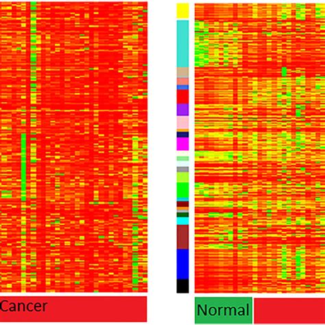 Heatmap Showing Expression Profiles Expression Levels In Mirna Modules Download Scientific