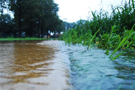 Rethinking Runoff: How Stormwater Can be Harnessed for Better Design