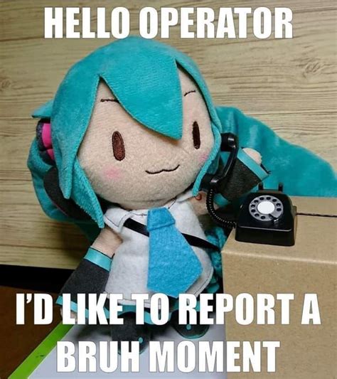 A Stuffed Doll With A Camera And Caption That Reads Hello Operator I D