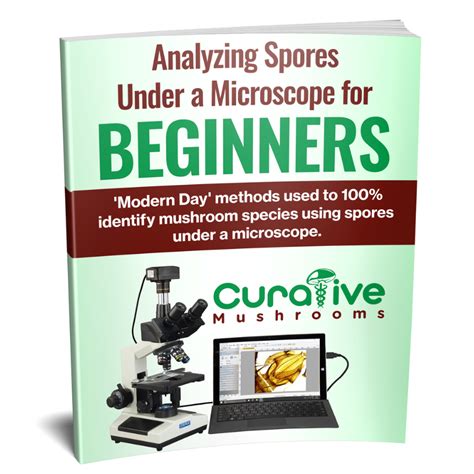 Mushroom Spores Microscopy Guide