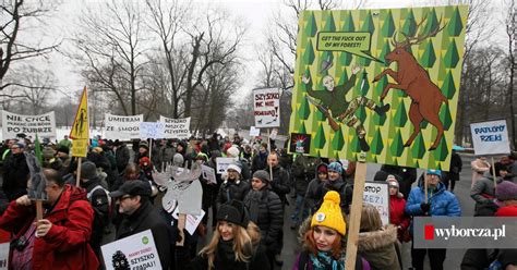 Szyszko na drzewo Marsz w obronie polskiej przyrody przeszedł Al