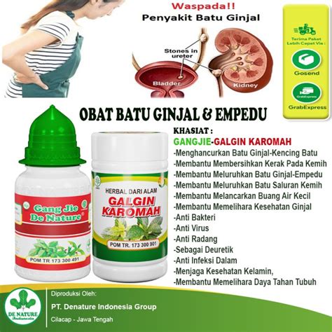 Jual Obat Batu Empedu Ginjal Infeksi Ginjal Kencing Batu Gagal Ginjal