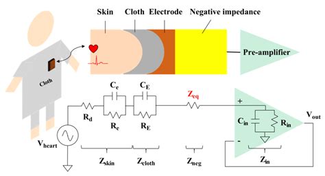 Mathematical Model For Noncontact ECG Measurement Using The Negative