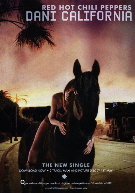 RED HOT CHILI PEPPERS Dani California Poster Print Prints4u