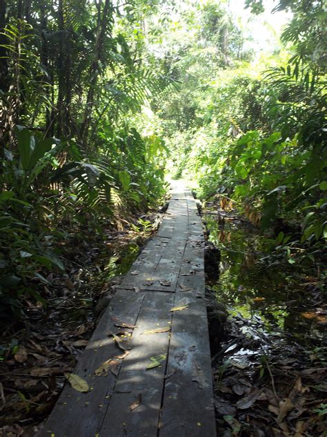 23 Puentes Caminos Sederos Veredas Malecones Sendas