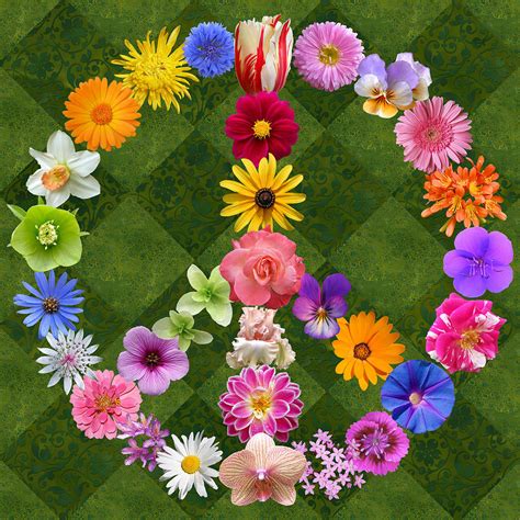 Peace Sign Flowers Digital Art by Susan Ragsdale