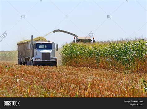corn combine image photo  trial bigstock