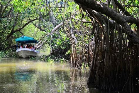 Pantanos De Centla Biosphere Tour From Villahermosa 2020