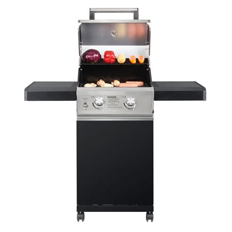 Monument Grills 2-Burner Propane Gas Grill In Stainless Steel And Black ...