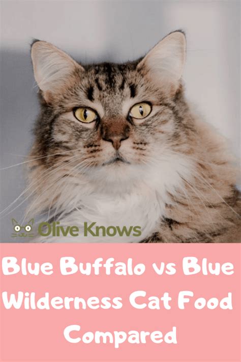 Blue Buffalo vs Blue Wilderness Cat Food Compared - OliveKnows