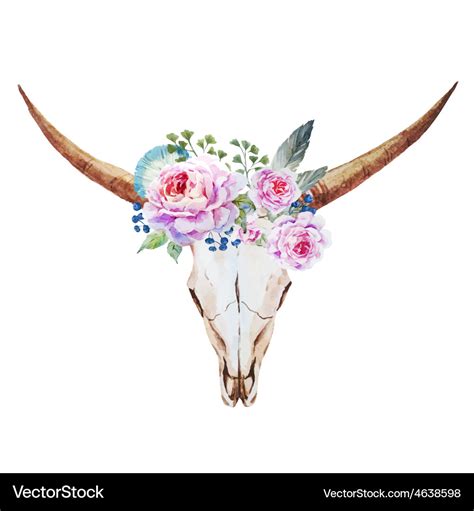 Bull skull watercolor Royalty Free Vector Image