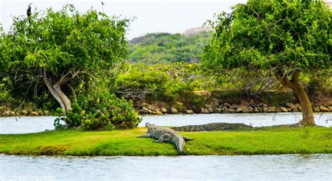 Green Sri Lanka: Cinnamon Wild, Yala, Sri Lanka | ghs