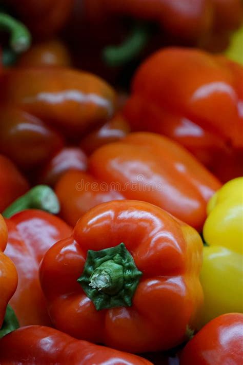 Capsicum Ou Pimenta Imagem De Stock Imagem De Misturado 324790371