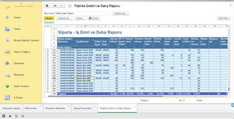 Satış Raporu ADIN S Business Solution