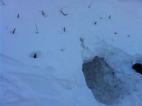 Snow Survival Shelter [must Have Deep Snow] : 4 Steps - Instructables