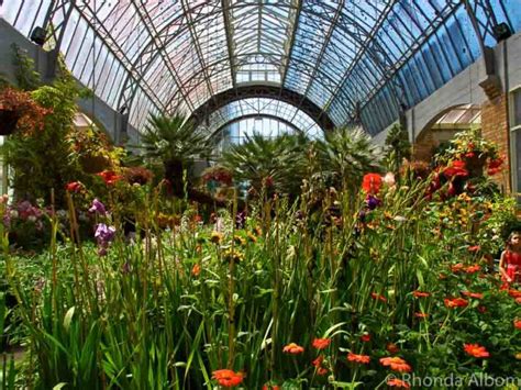 Domain Wintergardens Natural Beauty In Auckland Nzs Oldest Park