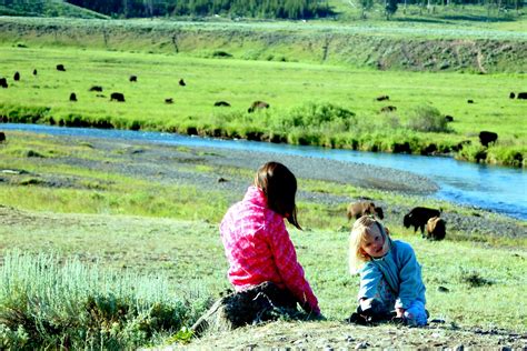 How To Spend A Simply Awesome Day In Yellowstones Lamar Valley — Simply Awesome Trips