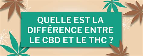 Quelle Est La Diff Rence Entre Le Cbd Et Le Thc La Petite Herboristerie