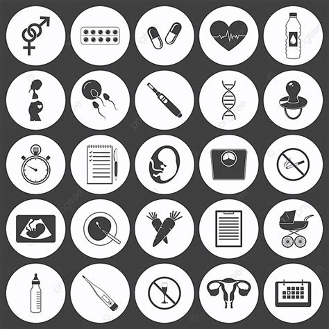 Simple Pregnancy Icons Pregnant Ovulation Gynecologist Vector Pregnant