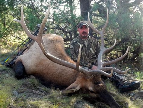 Elk Hunting In New Mexico Trophy Ridge Outfitters