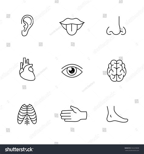 Body Parts Icons Images: Browse 79,822 Stock Photos & Vectors Free ...