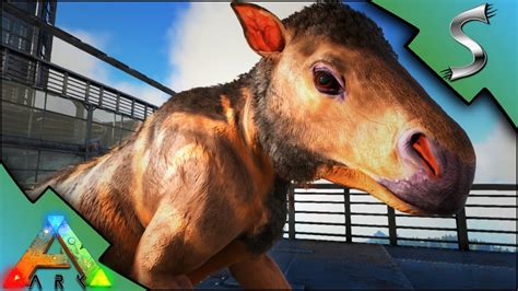 Chalicotherium Baby Breeding Imprinting Ark Survival Evolved