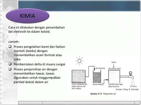 Proses Pembentukan Delta Di Muara Sungai