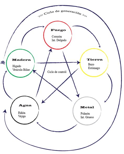 Los Elementos En Medicina Tradicional China Mtc Bienestarvalencia