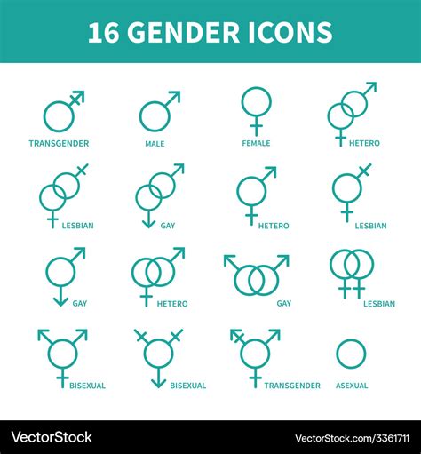 Sexual Orientation Gender Web Iconssymbolsign In Vector Image