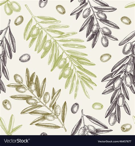 Olive Branch Seamless Pattern Background With Vector Image