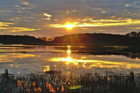 Bombay Hook National Wildlife Refuge Smyrna Delaware Photograph By Kerri Batrowny Fine Art