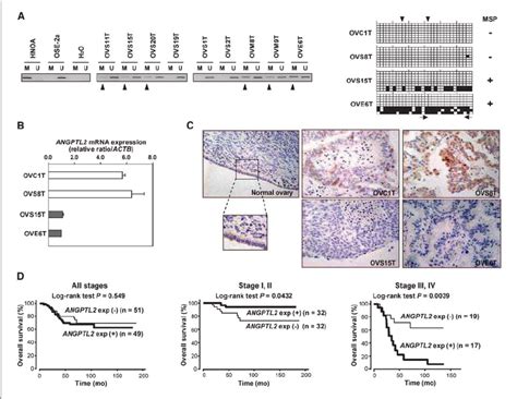 Methylation And Expression Status Of ANGPTL2 In Primary Tumors Of OC