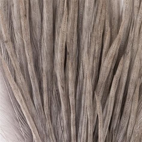 dry fly mini pack dun