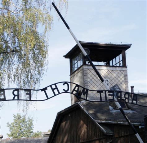 Holocaust Ältester Auschwitz Überlebender in Polen verstorben WELT