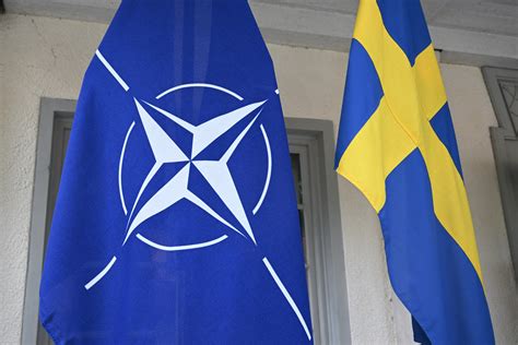 Small 'NATO Lake' Exclave Could Be Russia's Next Target: Ex-General ...