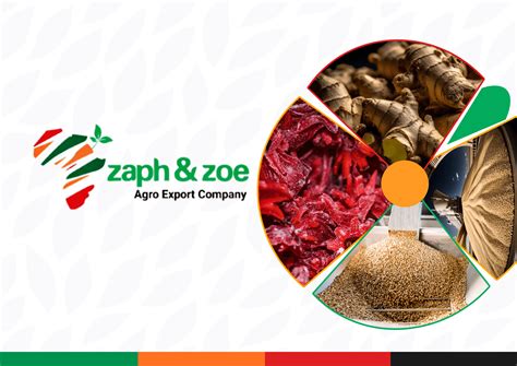 Zaph And Zoe Agro Export Emerges As Top Exporter Of Split Ginger