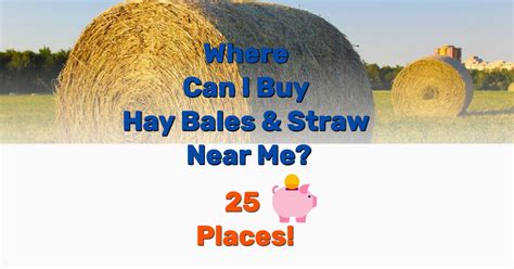 Where Can I Buy Hay Bales and Straw Near Me? 25 Places! - Frugal Living ...