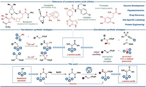 Relevance Of Unnatural Amino Acids UAAs Previously Developed