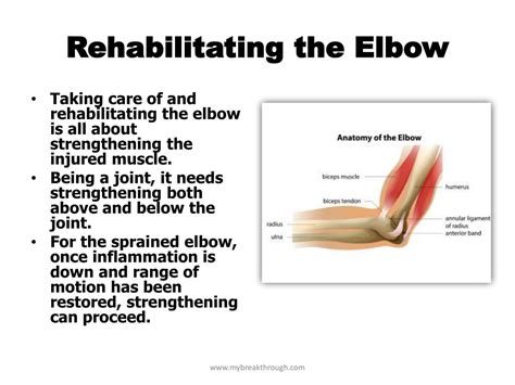 Ppt Common Elbow Injuries And What To Do About Them Powerpoint