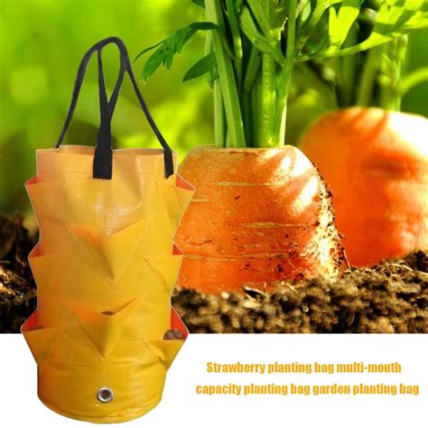 Jardinière Sac de plantation de jardin sac de culture de fraises 3L