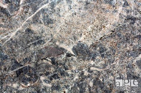 Gray Granite Stone Texture High Resolution Photo Stock Photo Picture