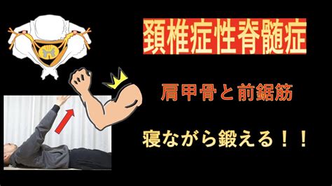 頚椎症性脊髄症のリハビリテーション 肩甲骨運動に大切な前鋸筋を寝ながら鍛える Youtube